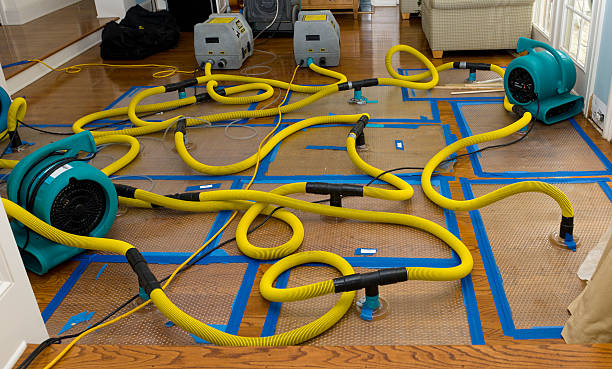 Professional Structural Drying And Dehumidification technician working in Thornton, PA